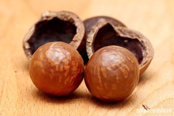 Macadamia για ισχύ
